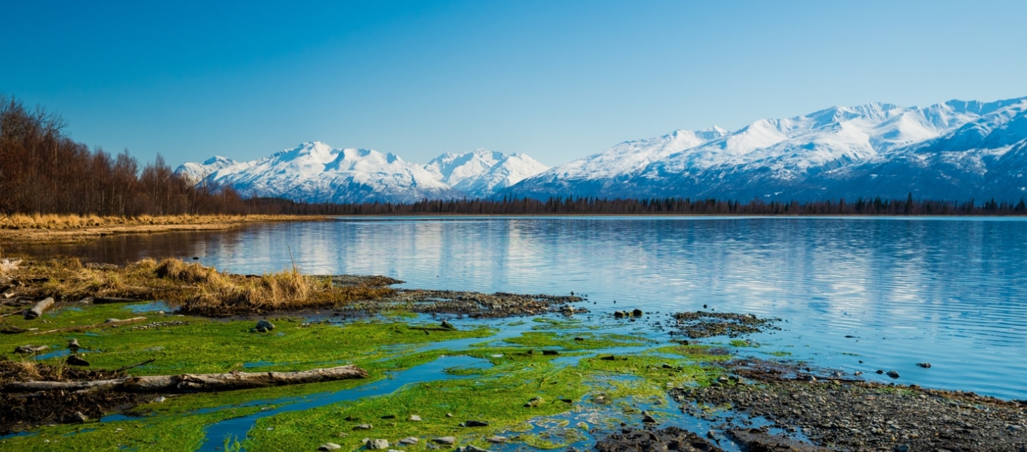 Beautiful Alaskan mountain scene